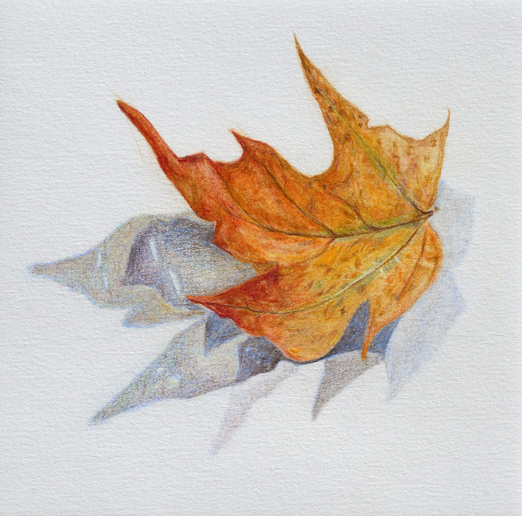 Schülerarbeit, Buntstift „Herbstblatt“